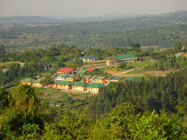 Overzicht van Bulamu Children's Village in een groen heuvellandschap